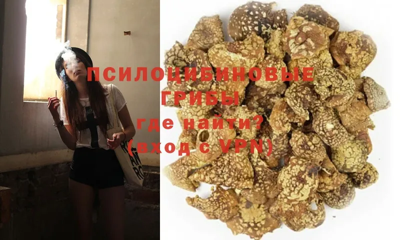 Псилоцибиновые грибы Magic Shrooms  Кызыл 